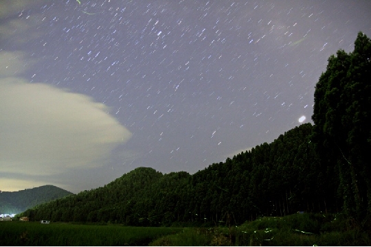 s-5878-5884dpp+ps.jpg