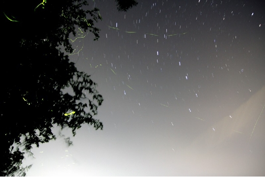 s-5903-5916dpp+ps.jpg