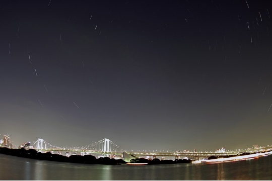 s-7292-7409ps.jpg